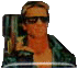 terminator 2_2.gif (4163 octets)