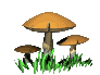 champignon01.gif (10032 octets)