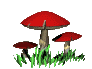 champignon02.gif (9820 octets)