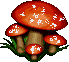 champignon03.gif (4972 octets)