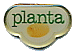 planta.gif (3551 octets)