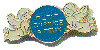 caprice 1.gif (2755 octets)