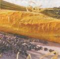 fromage0038-1a.JPG (3605 octets)