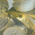fromage0046-1.jpg (3004 octets)