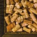 fromage0101-1a.jpg (4502 octets)