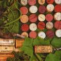 fromage0110-1d.jpg (4531 octets)