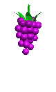 1raisin.gif (27964 octets)
