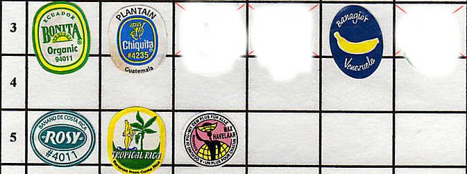 banane_2.jpg (49255 octets)