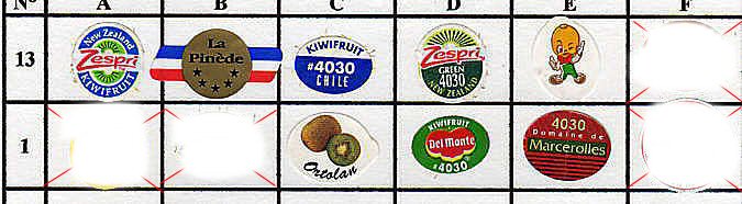 kiwi_1.jpg (43413 octets)