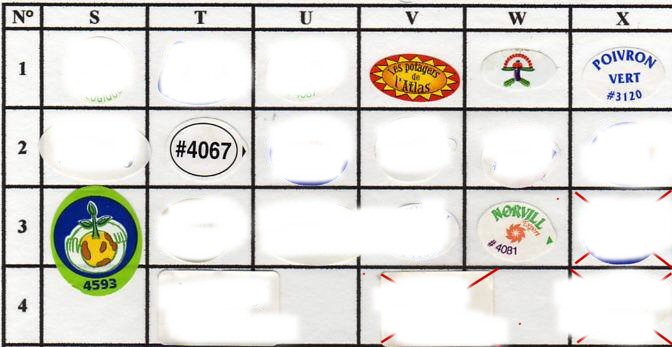 l�gumes-_1.jpg (53701 octets)