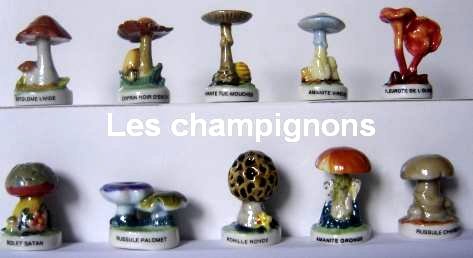 les champignons.jpg (21403 octets)