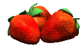 obst_025.gif (15021 octets)