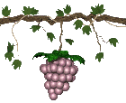 obst_027.gif (27488 octets)
