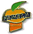 pamela.gif (3238 octets)