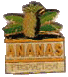 Ananas production_3.gif (5250 octets)