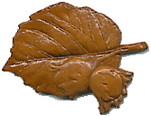 noisettes.gif (11346 octets)
