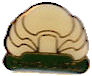 champi-jandou_4.gif (6122 octets)