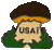 usai.gif (2535 octets)