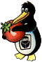 compo_tomate.gif (4229 octets)