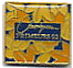 classique primeur 92.gif (5346 octets)