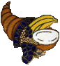 damex.gif (5594 octets)