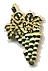 Raisin dore.gif (2807 octets)