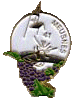 meusnes.gif (4998 octets)