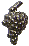 raisin_3.gif (4297 octets)