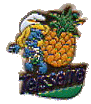 Teisseire schroumpf ananas.gif (7403 octets)