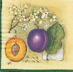 Image0002.jpg (5129 octets)
