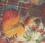 Image0005.jpg (4816 octets)