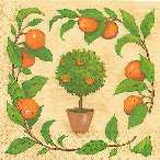 Image0008.jpg (6008 octets)