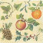 Image0011.jpg (6349 octets)