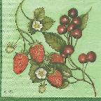 image0021.jpg (7269 octets)