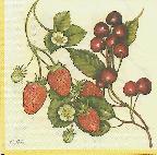 image0022.jpg (7098 octets)