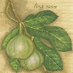 image0031.jpg (4527 octets)