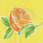 image0035.jpg (4327 octets)