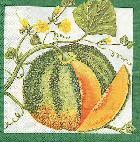 image0050.jpg (8956 octets)