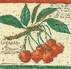 image0061.jpg (6856 octets)