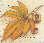 image0063.jpg (4688 octets)