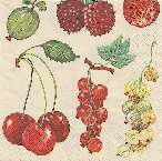 image0073.jpg (6041 octets)