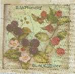 image0074.jpg (5605 octets)
