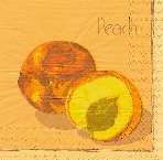 image0079.jpg (3558 octets)