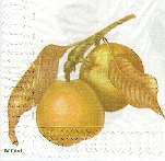 image0081.jpg (4139 octets)