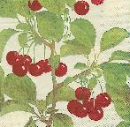 image0100.jpg (7481 octets)