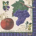image0119.jpg (6790 octets)