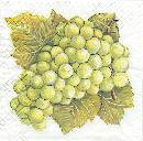 image0120.jpg (5459 octets)