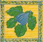 image0126.jpg (6698 octets)