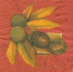 image0040-2.jpg (4060 octets)