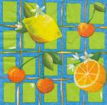 image0153.jpg (5752 octets)
